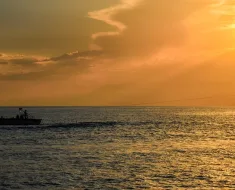 Olhe para dentro, para as suas... 11