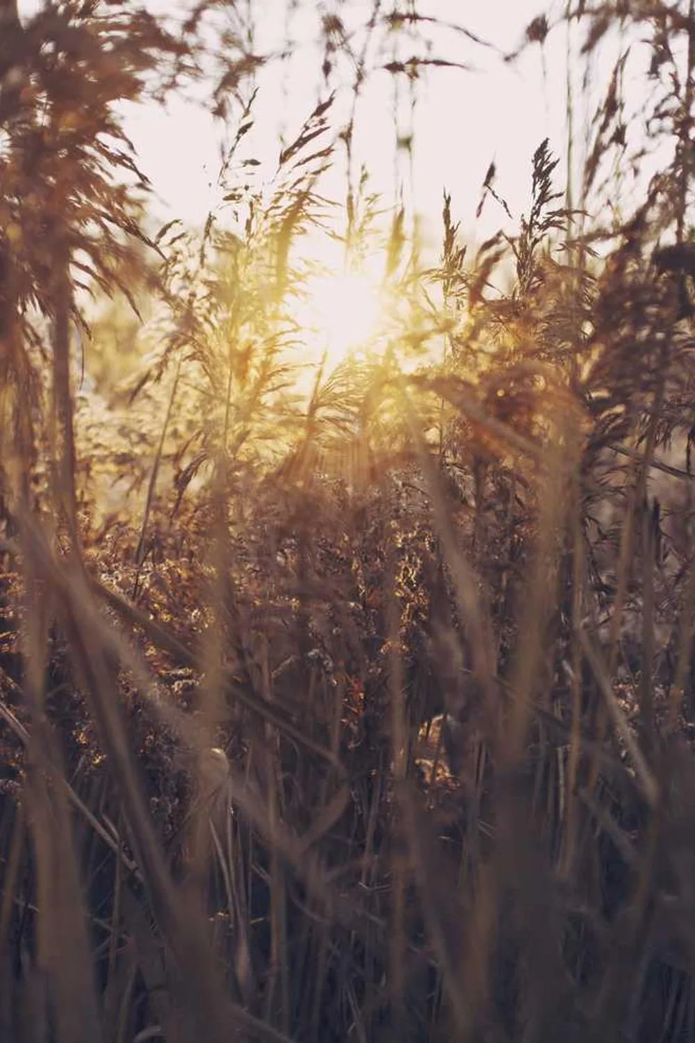 palavras de motivação para mães que não desistem: Reflexões Bíblicas e Ensinamentos