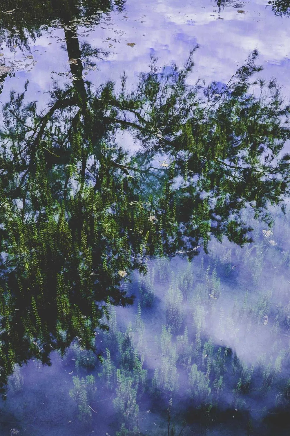 passagens bíblicas católicas sobre humildade: Reflexões Bíblicas e Ensinamentos