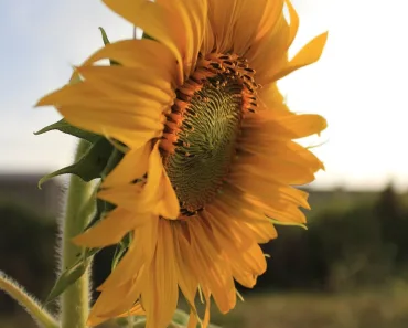 Que vocês recebam neste lindo dia,... 7
