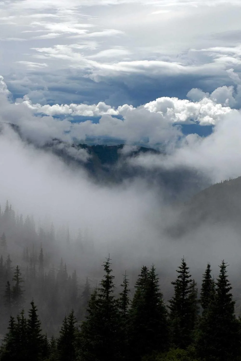 reflexões bíblicas católicas para jovens: Reflexões Bíblicas e Ensinamentos