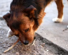 Todos nós temos os belos momentos,... 1