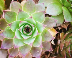 Tua generosidade nem sempre será reconhecida.... 7