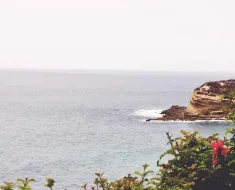 como ser uma mulher virtuosa na Bíblia: Reflexões Bíblicas e Ensinamentos 12 como ser uma mulher virtuosa na Bíblia: Reflexões Bíblicas e Ensinamentos 11