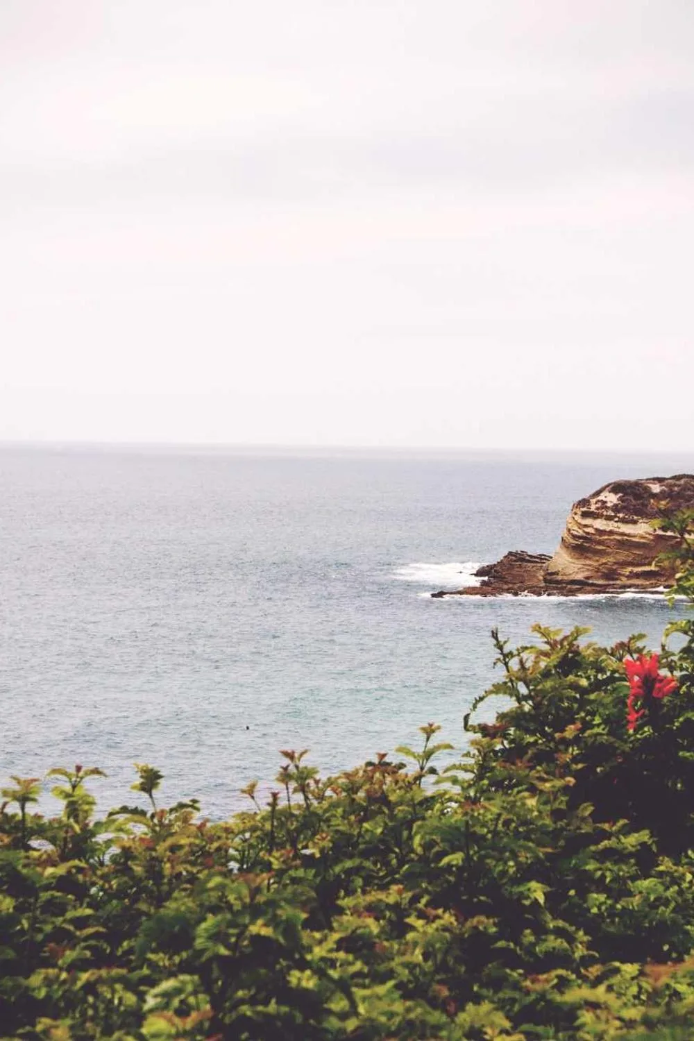 como ser uma mulher virtuosa na Bíblia: Reflexões Bíblicas e Ensinamentos