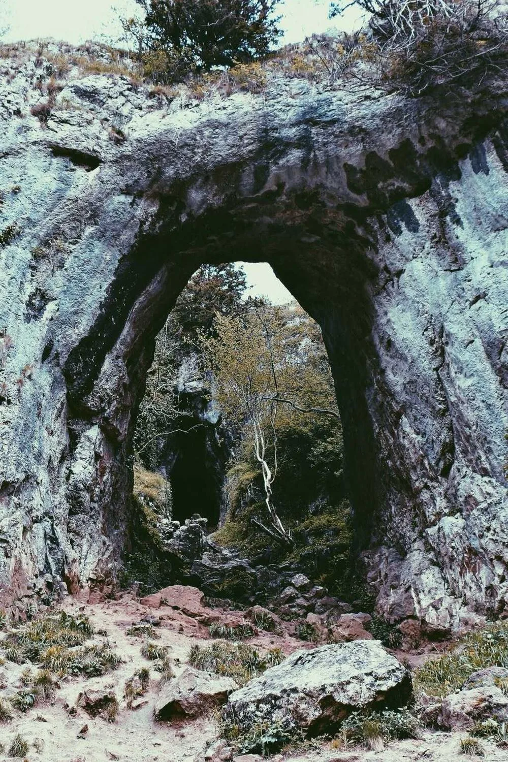 ensinamentos para mulheres segundo a Bíblia: Reflexões Bíblicas e Ensinamentos