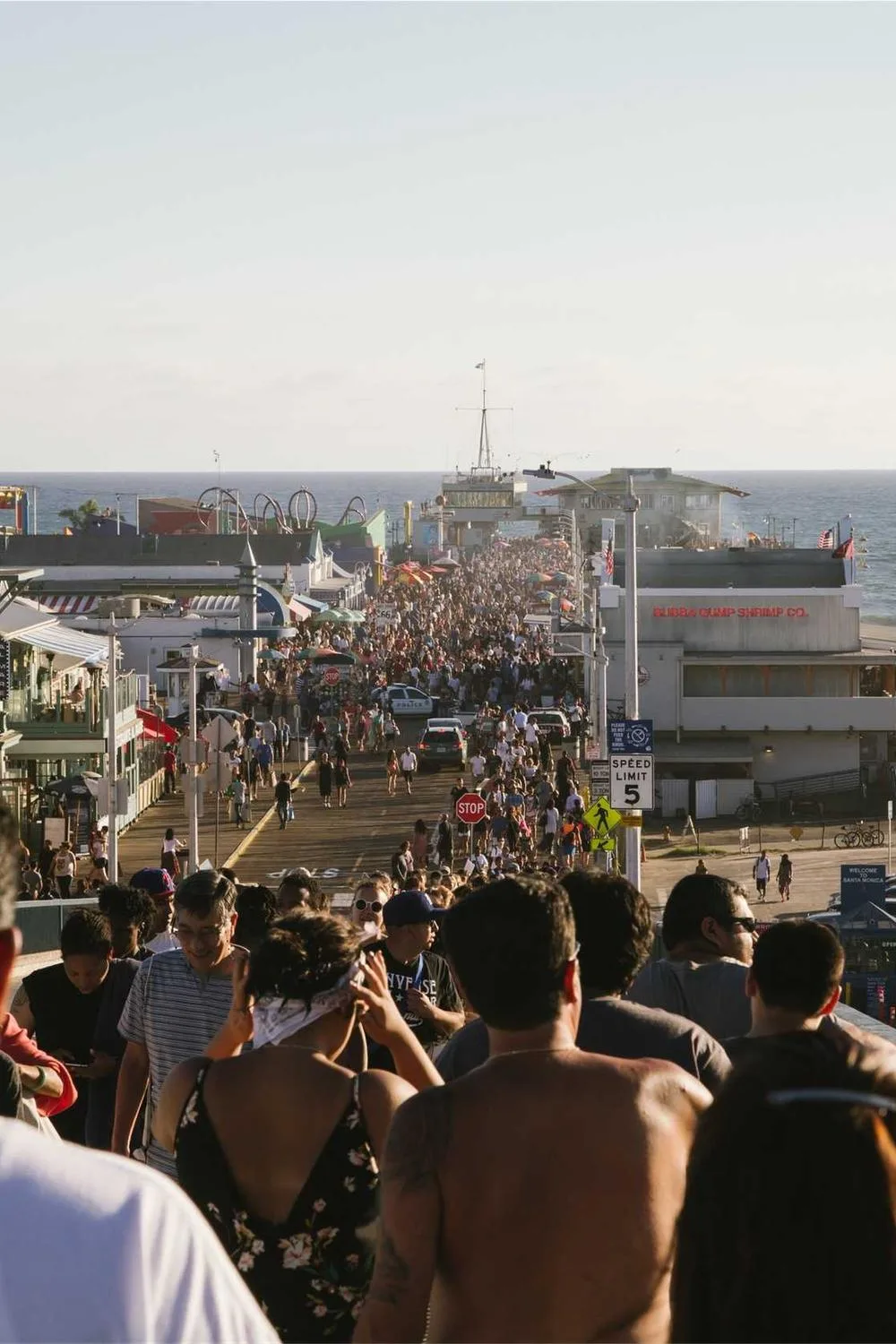estudo bíblico para mulheres jovens: Reflexões Bíblicas e Ensinamentos