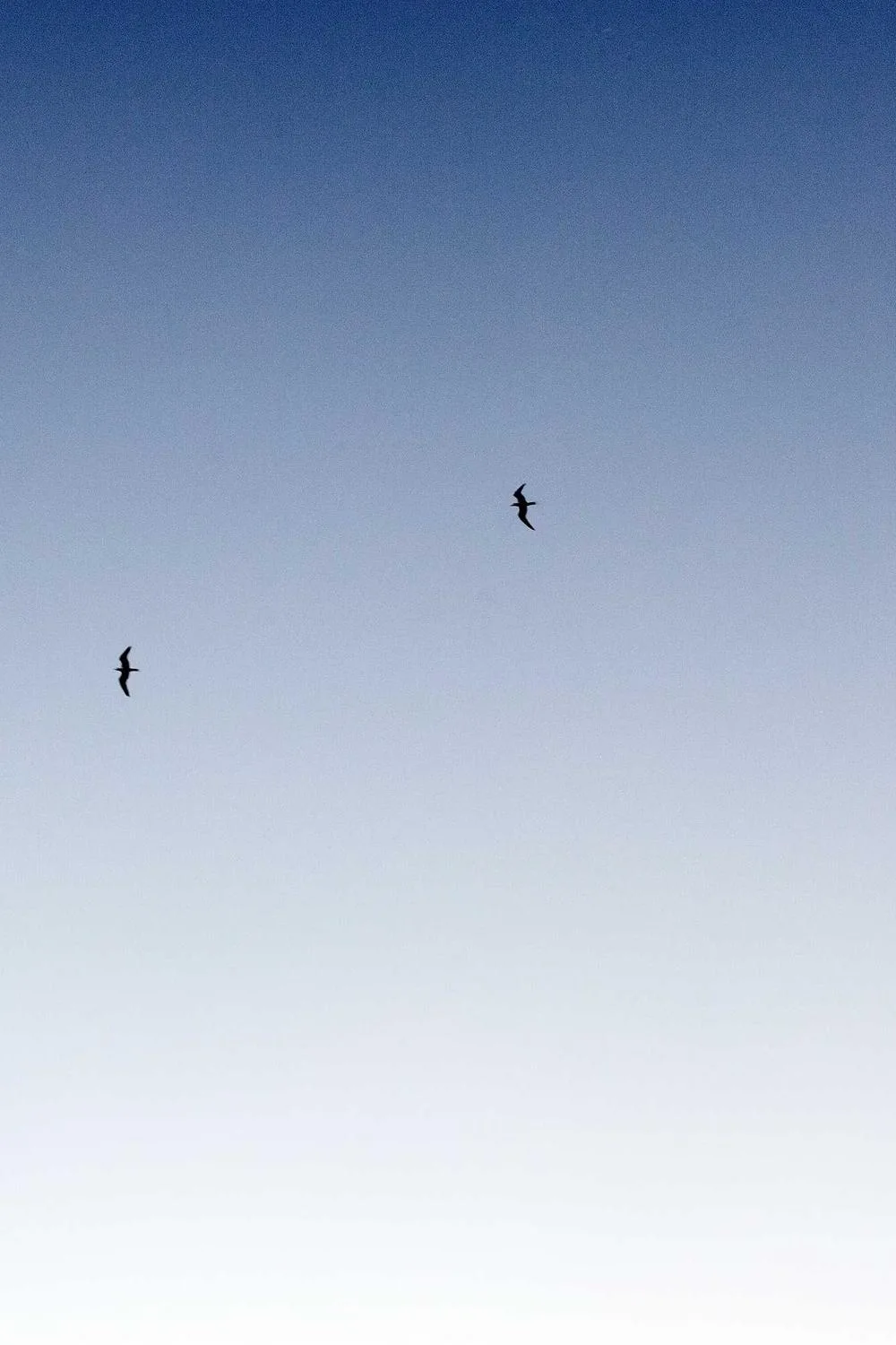 estudo sobre os evangelhos na bíblia católica: Reflexões Bíblicas e Ensinamentos