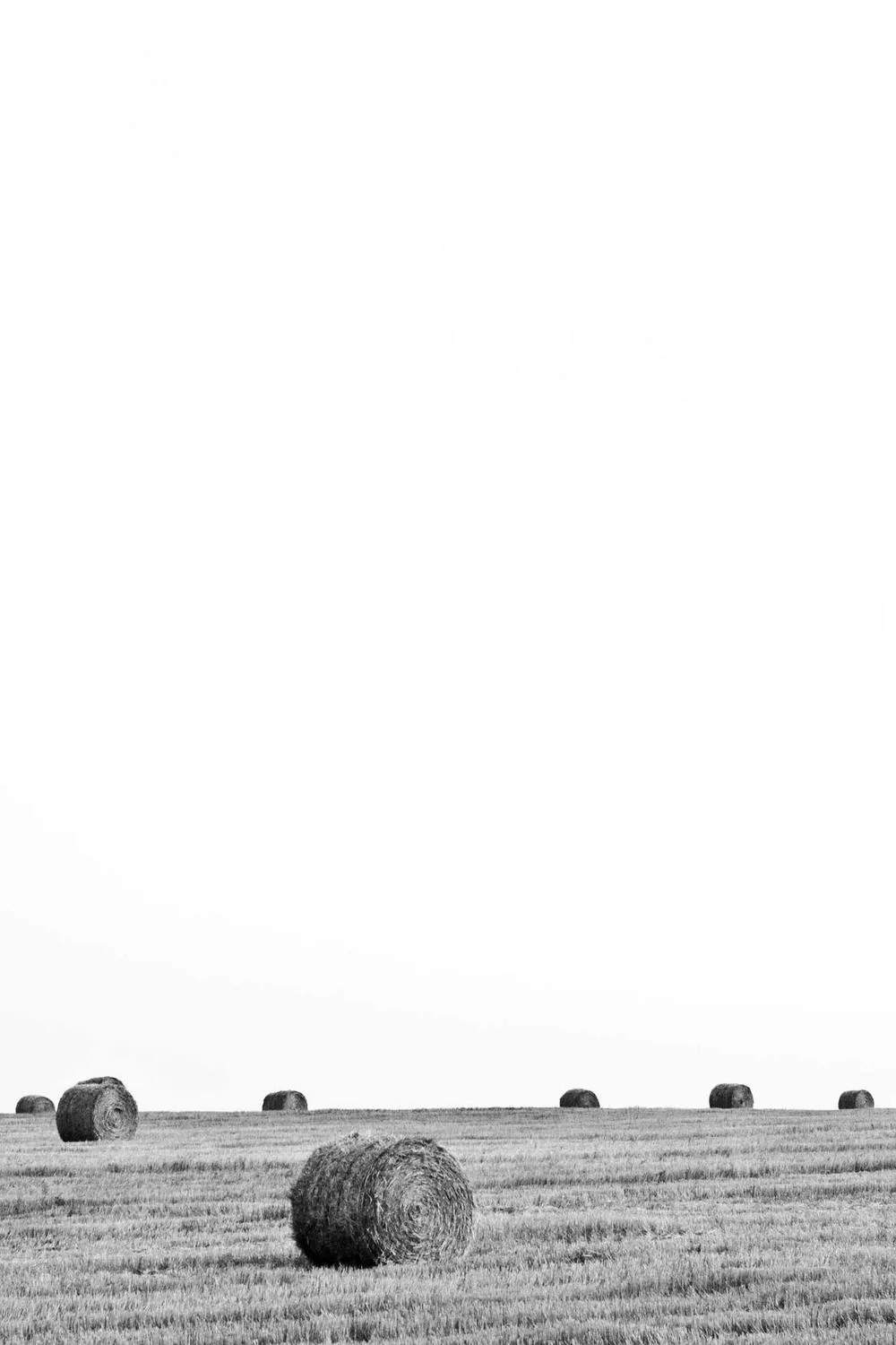 evangelho do dia bíblia católica: Reflexões Bíblicas e Ensinamentos