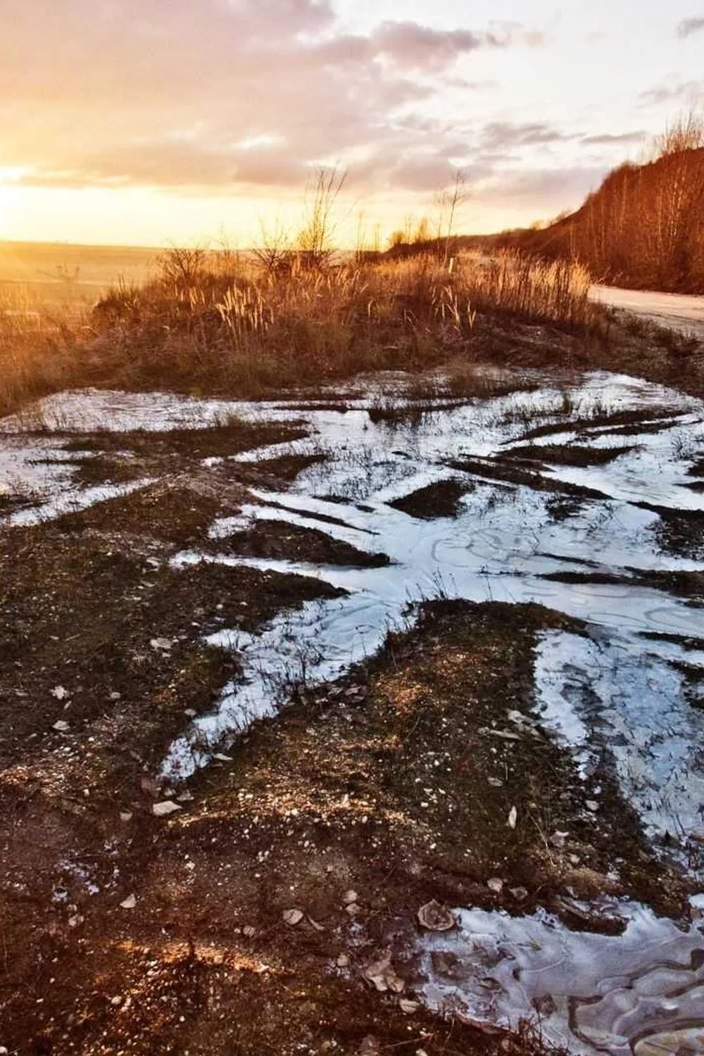 exemplos de oração de mulheres na Bíblia: Reflexões Bíblicas e Ensinamentos
