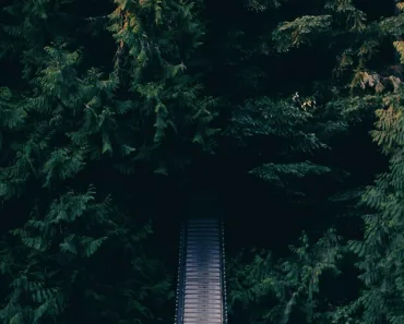 leituras dominicais da bíblia católica: Reflexões Bíblicas e Ensinamentos 1