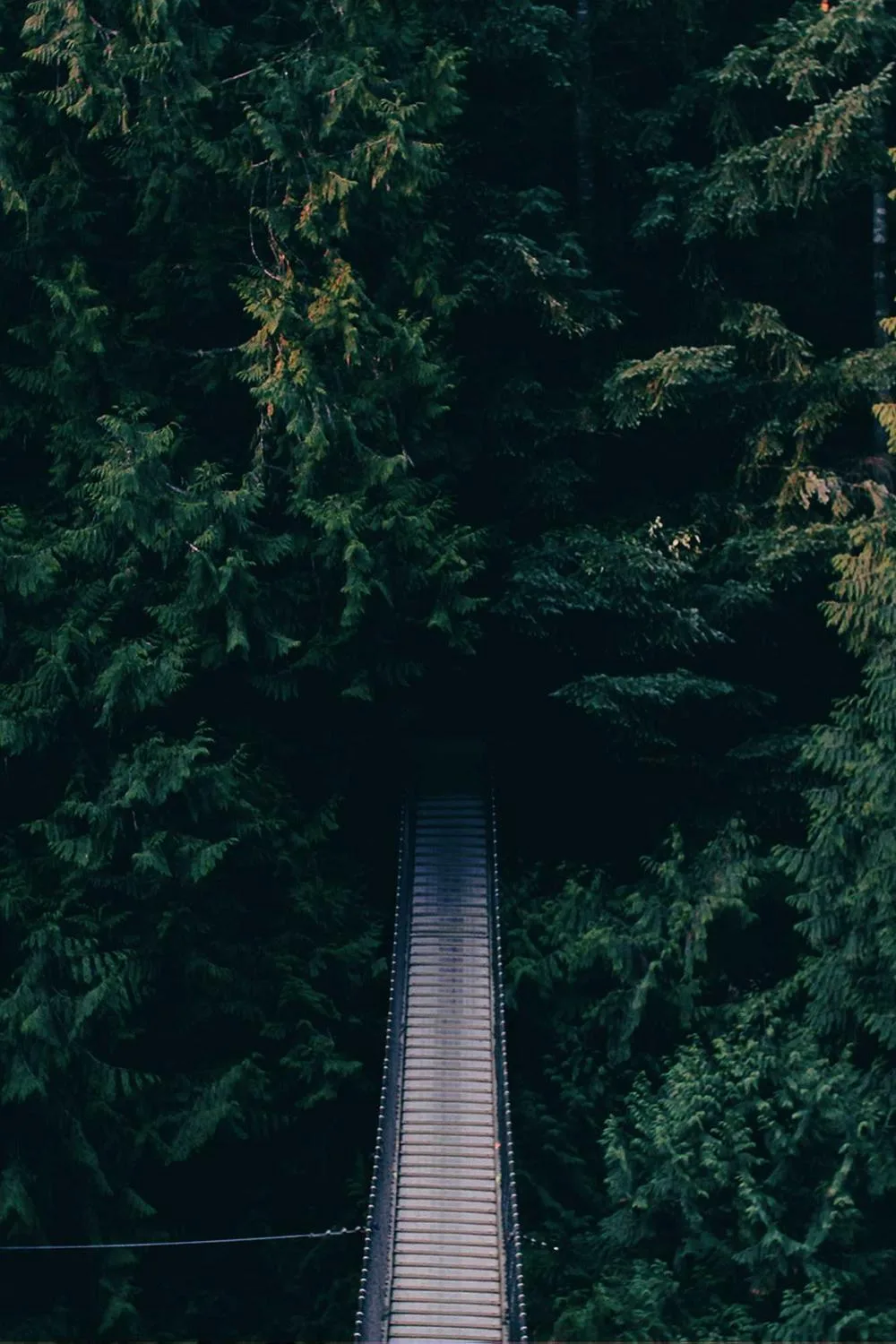 leituras dominicais da bíblia católica: Reflexões Bíblicas e Ensinamentos