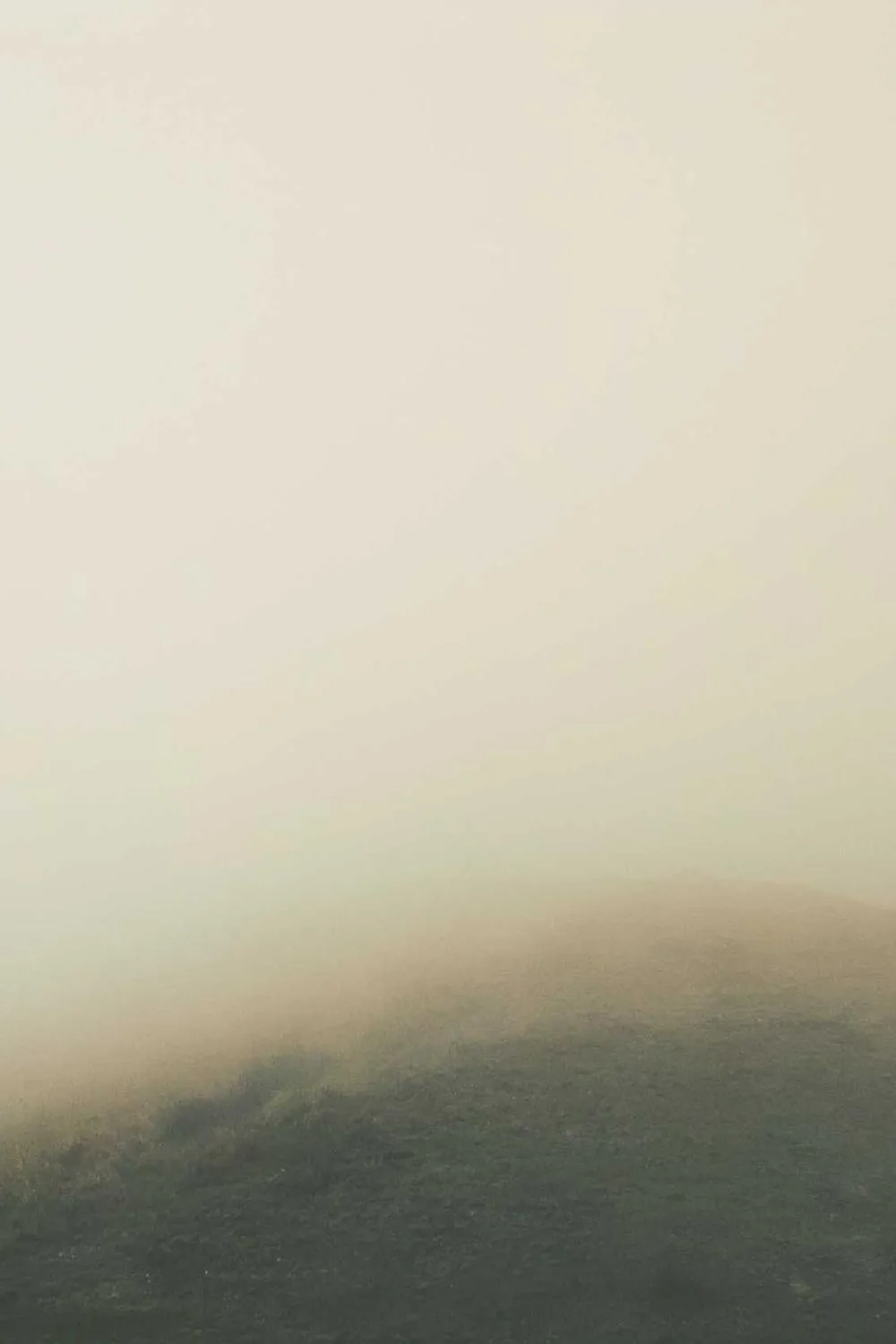 mulheres de oração e devoção na Bíblia: Reflexões Bíblicas e Ensinamentos