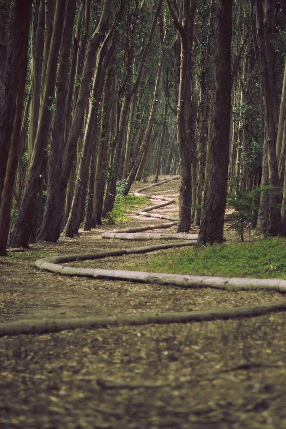 mulheres sábias e virtuosas na Bíblia: Reflexões Bíblicas e Ensinamentos