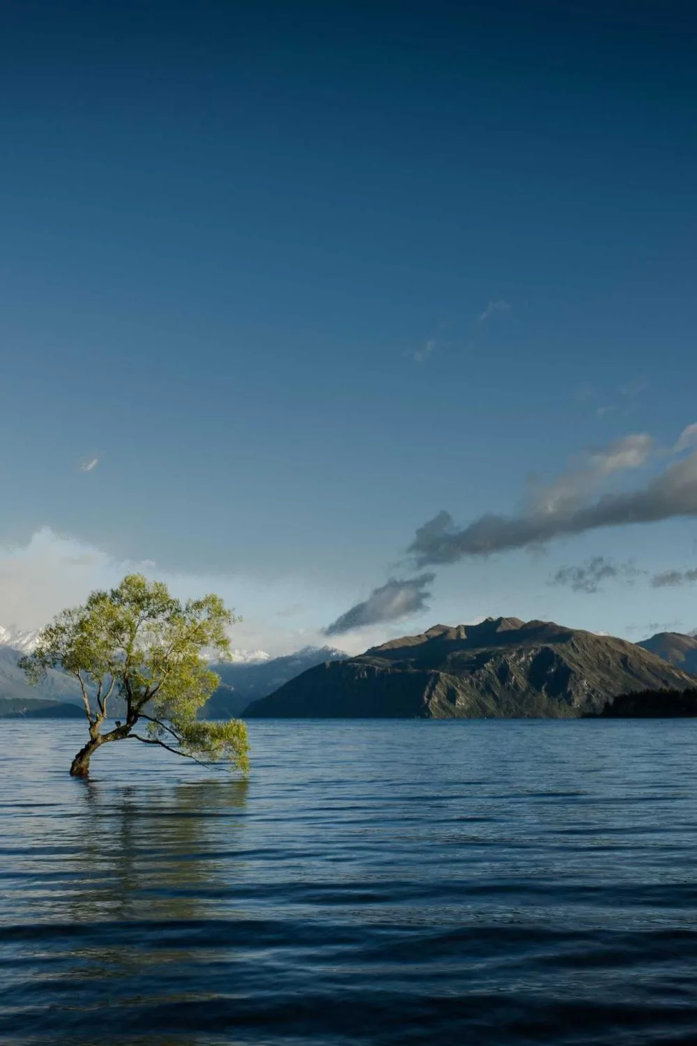 oração com base na bíblia católica: Reflexões Bíblicas e Ensinamentos