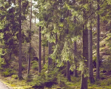 parábolas de Jesus na bíblia católica: Reflexões Bíblicas e Ensinamentos 5