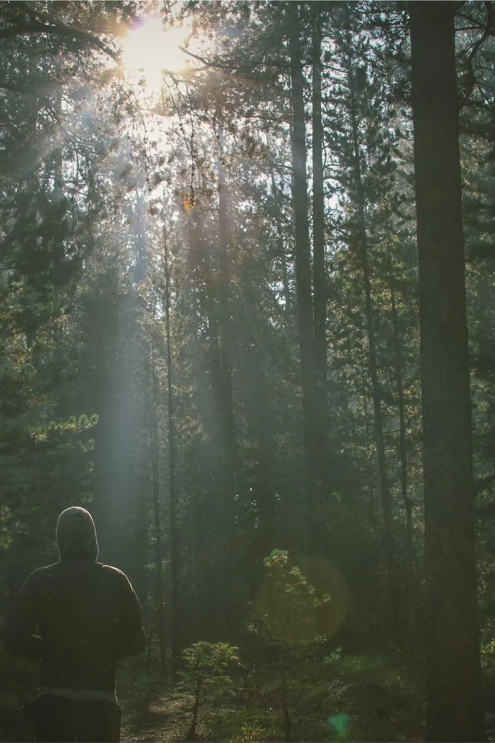 reflexão bíblica para mulheres de fé: Reflexões Bíblicas e Ensinamentos