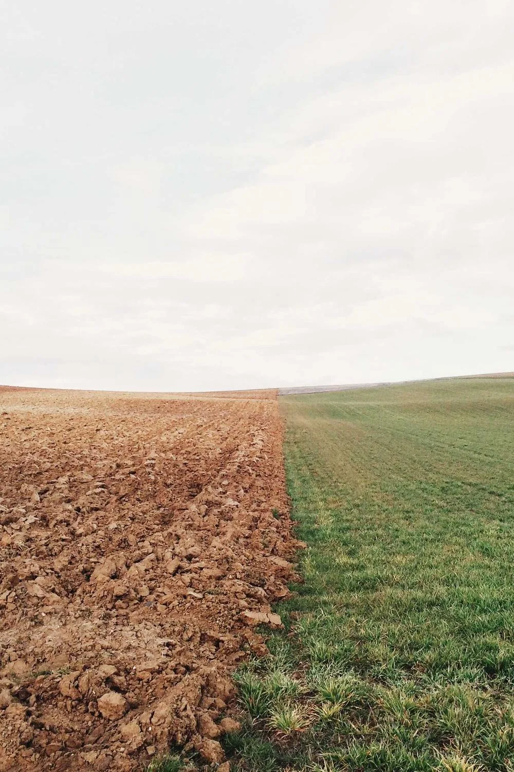versículos bíblicos sobre esperança católica: Reflexões Bíblicas e Ensinamentos