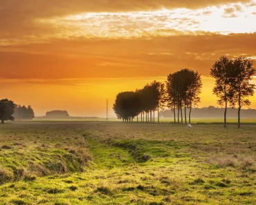versículos da bíblia católica sobre amor: Reflexões Bíblicas e Ensinamentos 13