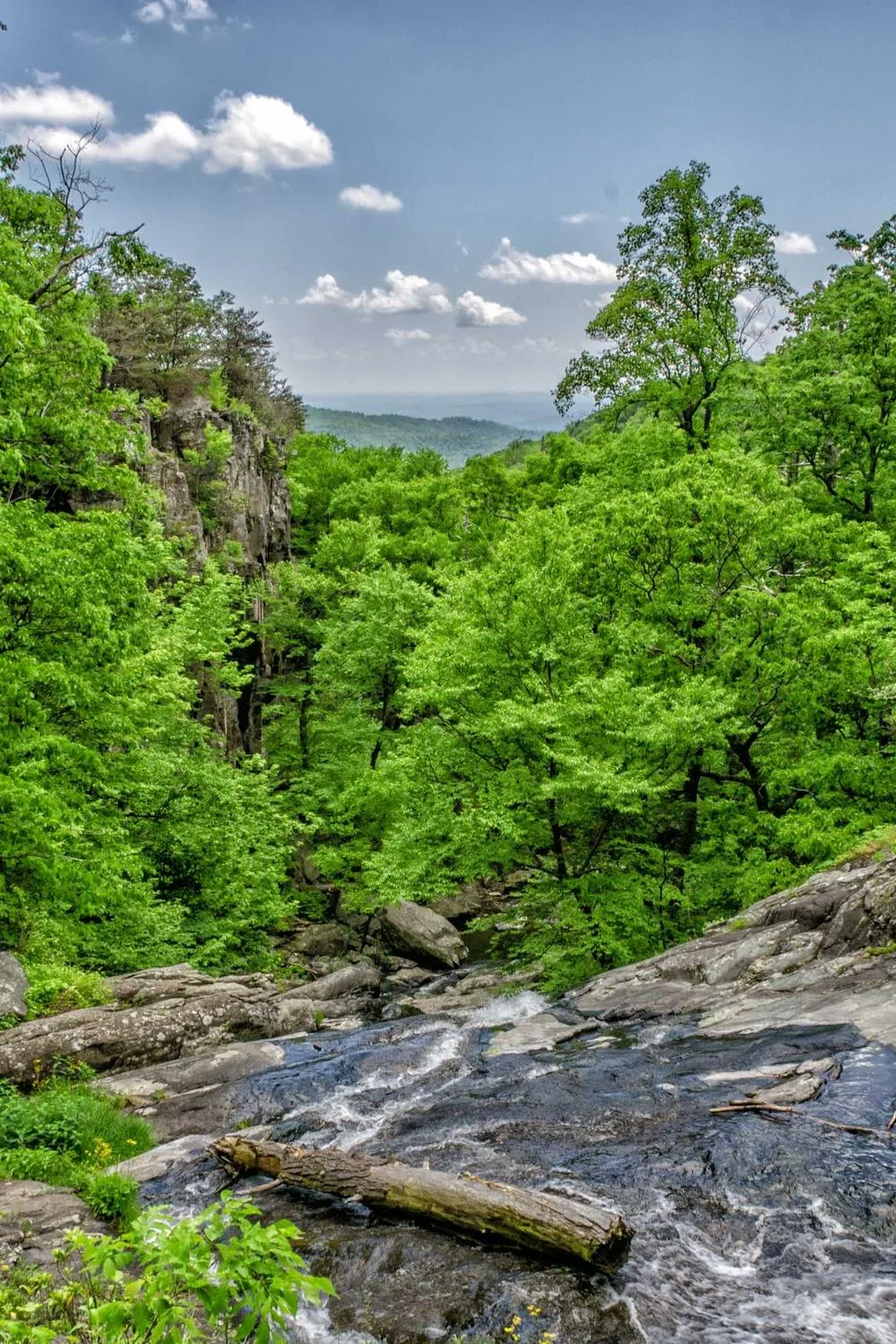 versículos da bíblia católica sobre sabedoria: Reflexões Bíblicas e Ensinamentos