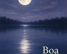 Mensagem de Boa Noite para hoje, 29 de Março de 2026: Paz e Quietude 41