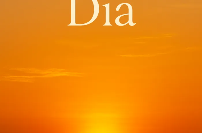 Mensagem de Bom Dia para hoje, 03 de Junho de 2026: Acredite no seu potencial