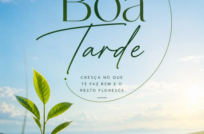 Mensagem de Boa Tarde para hoje, 29 de Junho de 2026: O sucesso é questione de tempo