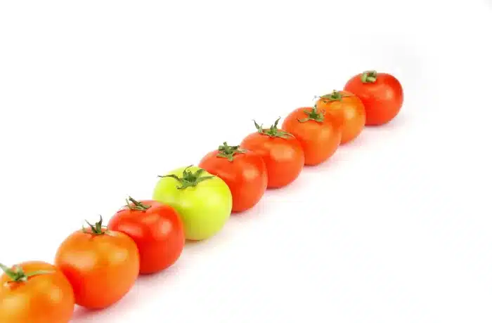 A gente vive esperando que as…